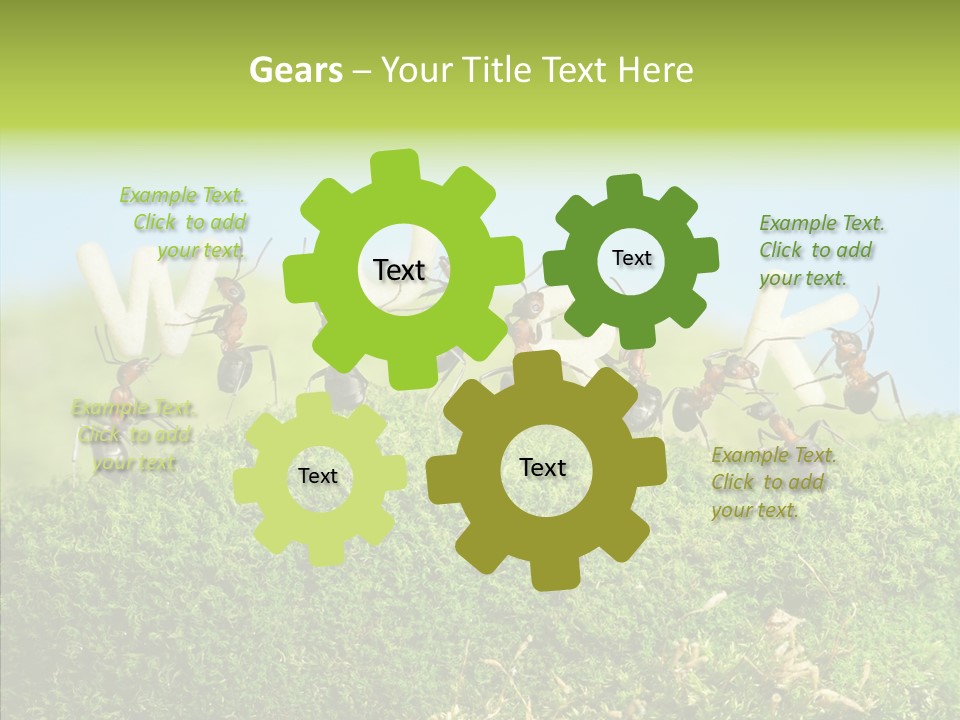 Teamwork Sky Animals PowerPoint Template