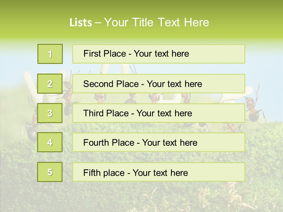 Teamwork Sky Animals PowerPoint Template
