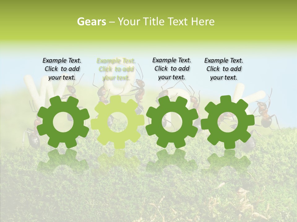 Teamwork Sky Animals PowerPoint Template