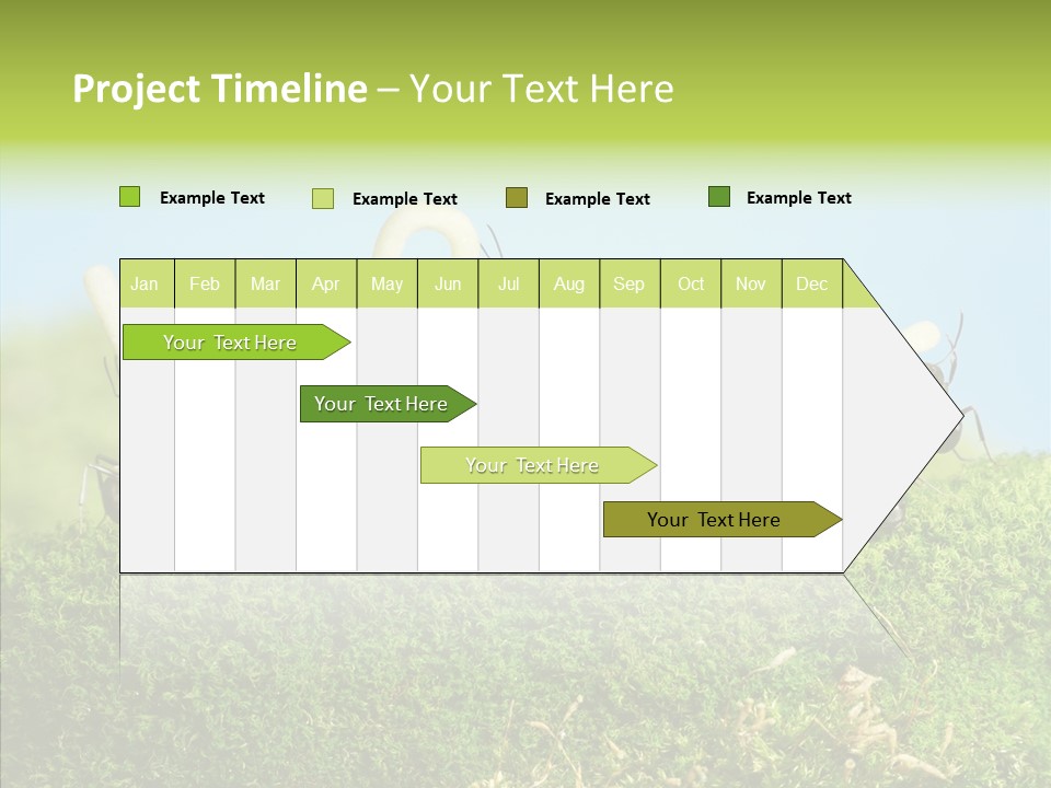 Teamwork Sky Animals PowerPoint Template