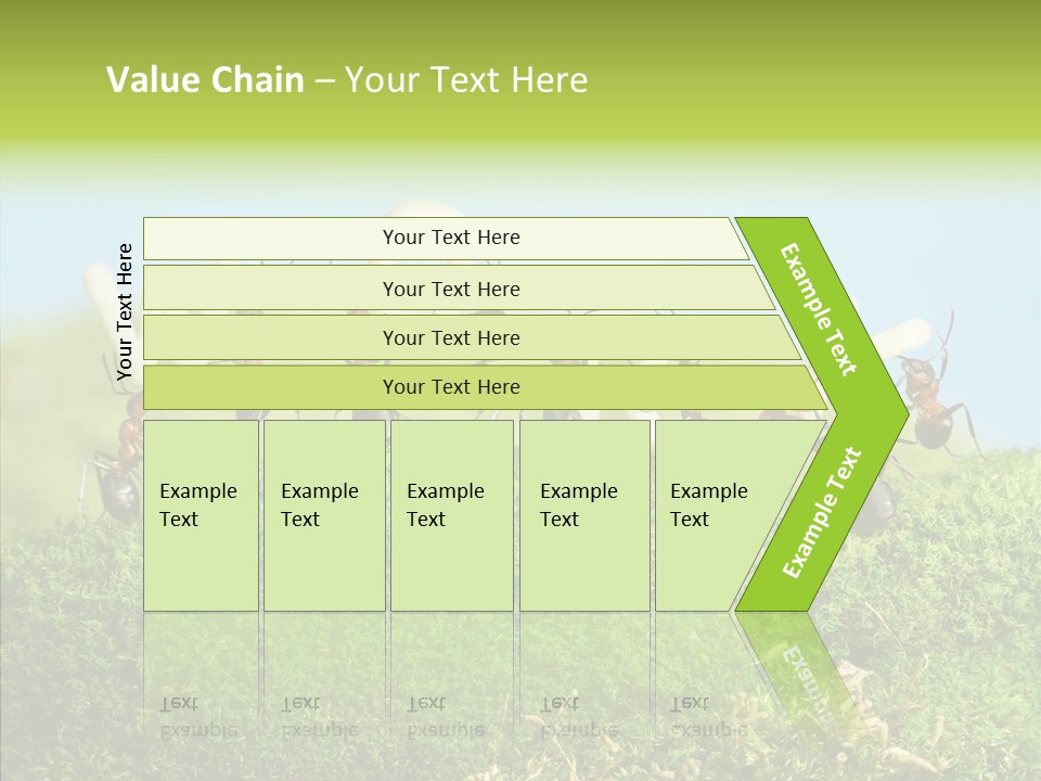 Teamwork Sky Animals PowerPoint Template