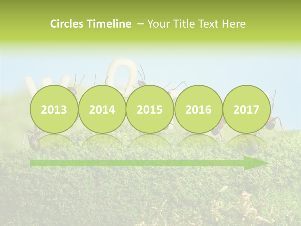 Teamwork Sky Animals PowerPoint Template