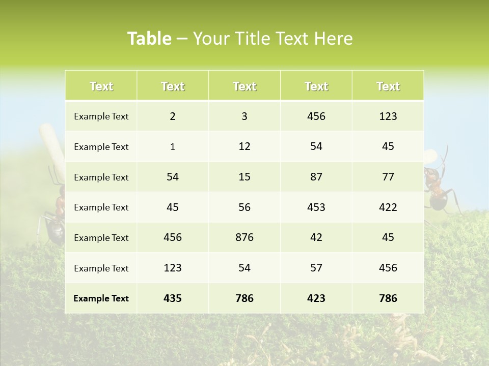 Teamwork Sky Animals PowerPoint Template