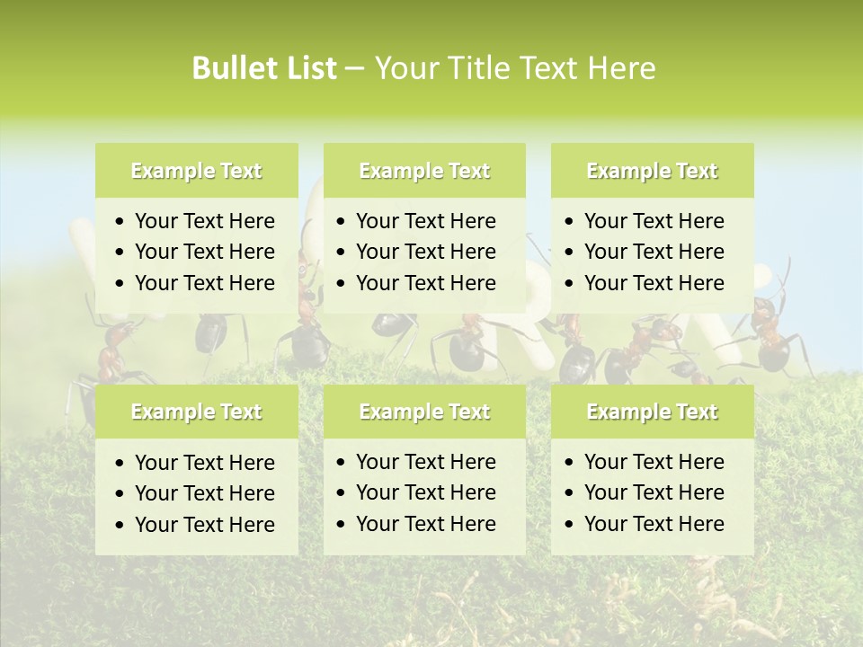 Teamwork Sky Animals PowerPoint Template