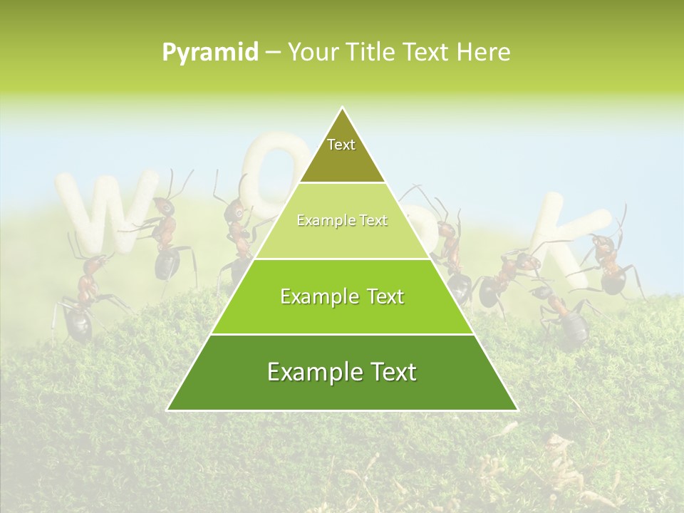 Teamwork Sky Animals PowerPoint Template