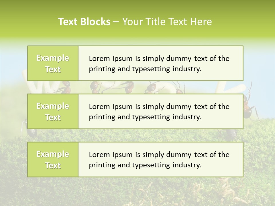 Teamwork Sky Animals PowerPoint Template