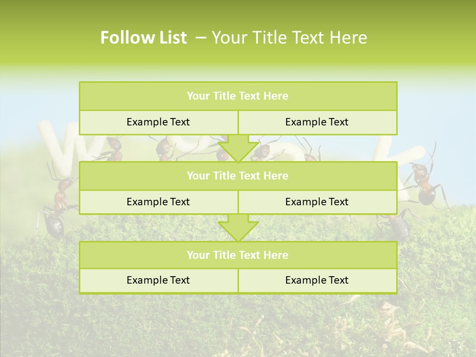 Teamwork Sky Animals PowerPoint Template