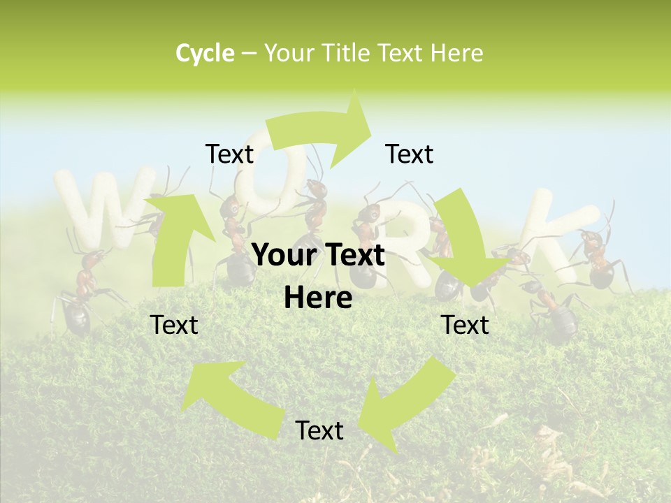 Teamwork Sky Animals PowerPoint Template