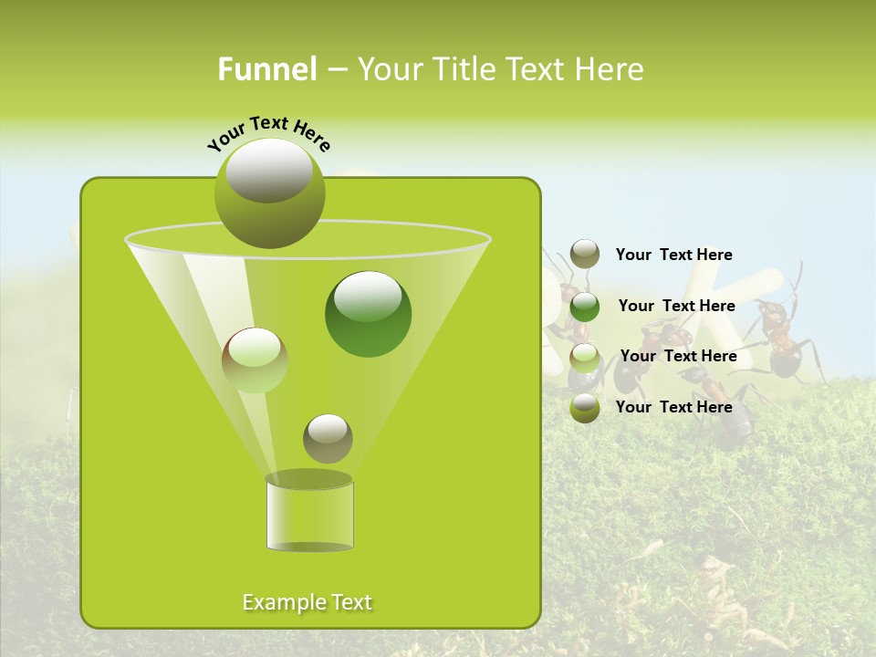 Teamwork Sky Animals PowerPoint Template