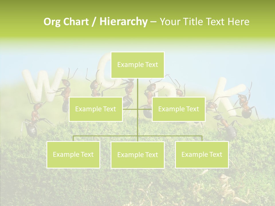 Teamwork Sky Animals PowerPoint Template