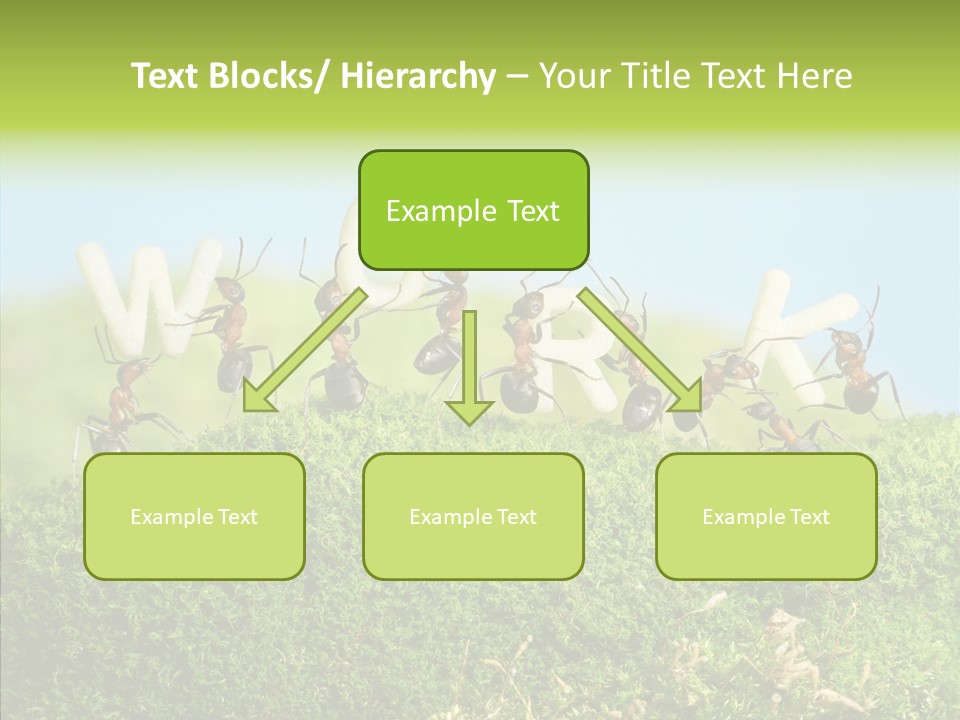 Teamwork Sky Animals PowerPoint Template