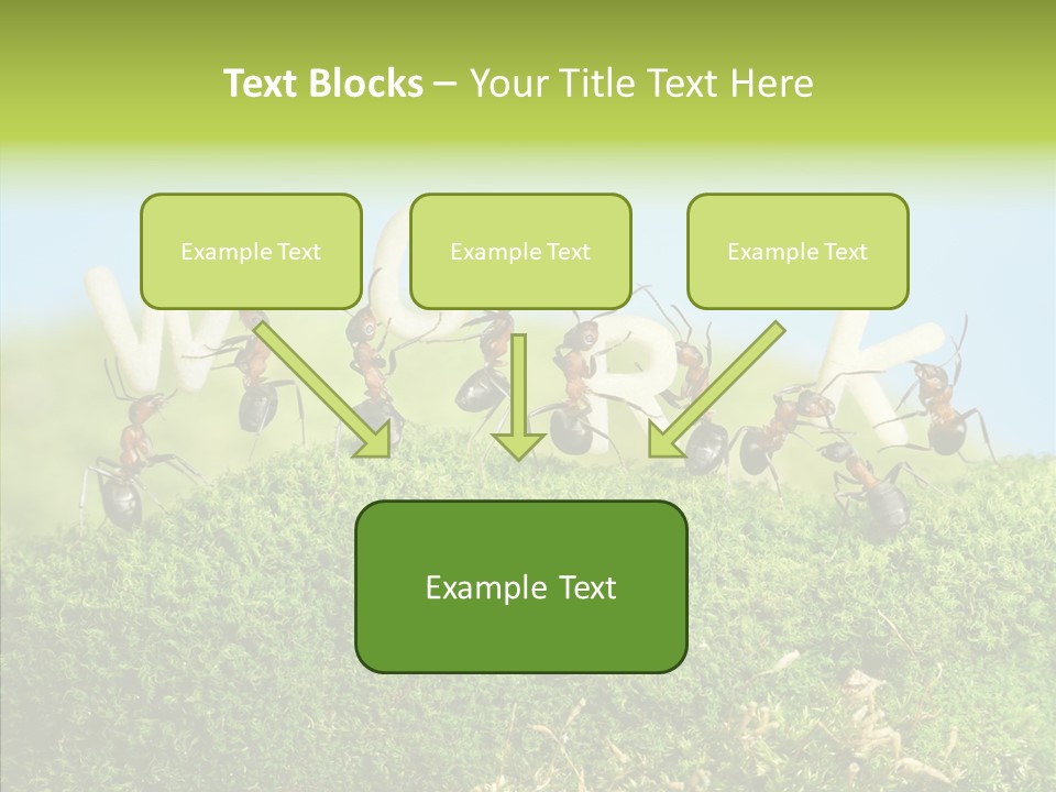Teamwork Sky Animals PowerPoint Template