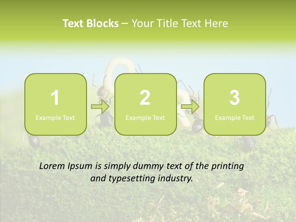 Teamwork Sky Animals PowerPoint Template
