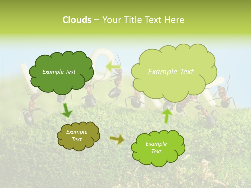Teamwork Sky Animals PowerPoint Template