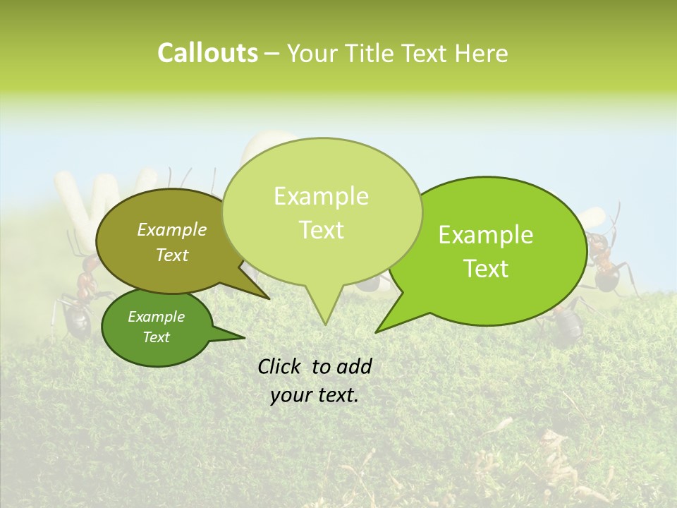 Teamwork Sky Animals PowerPoint Template