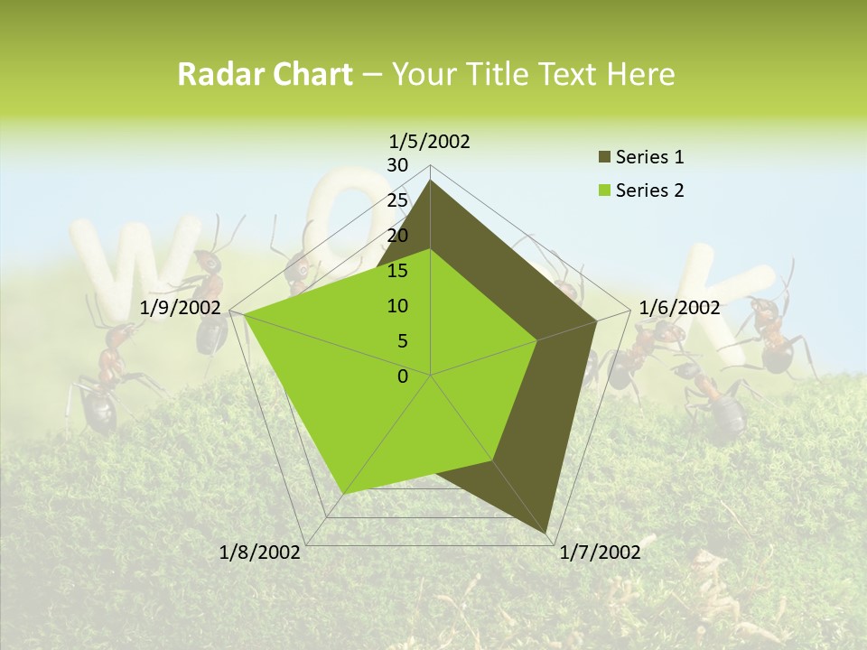 Teamwork Sky Animals PowerPoint Template