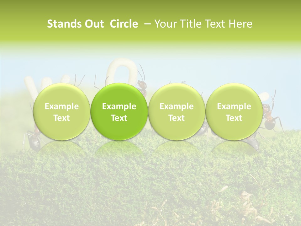 Teamwork Sky Animals PowerPoint Template