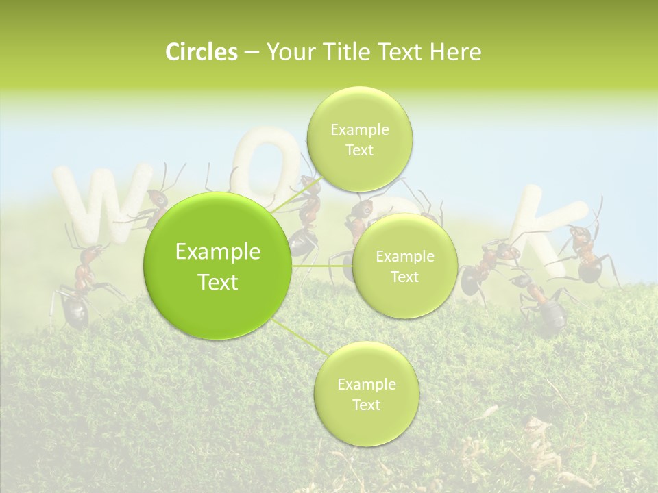 Teamwork Sky Animals PowerPoint Template