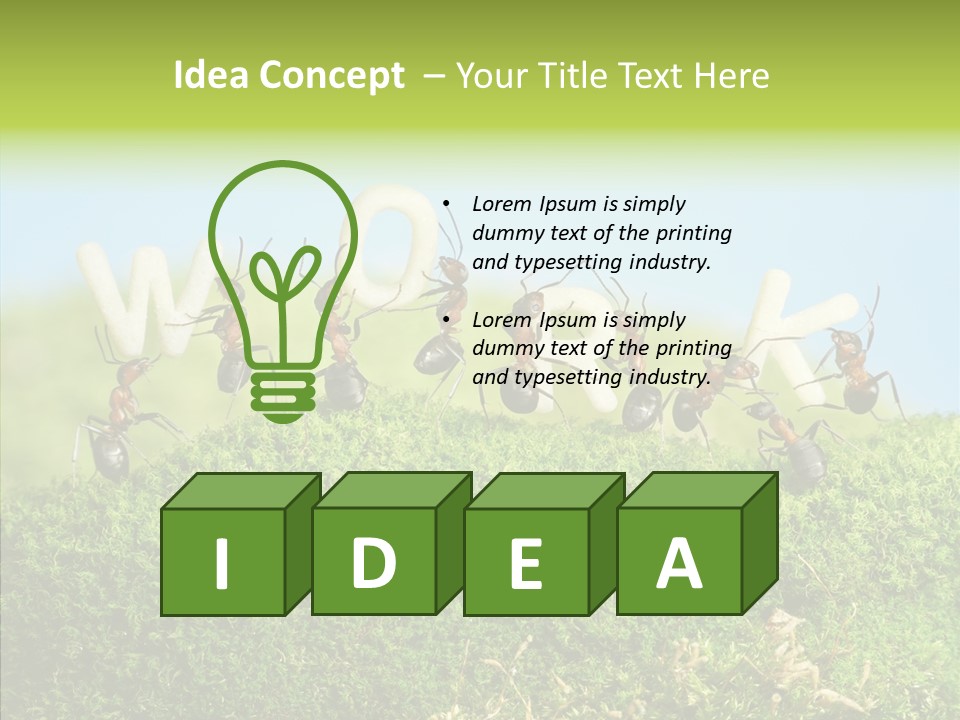 Teamwork Sky Animals PowerPoint Template