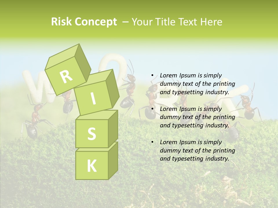 Teamwork Sky Animals PowerPoint Template