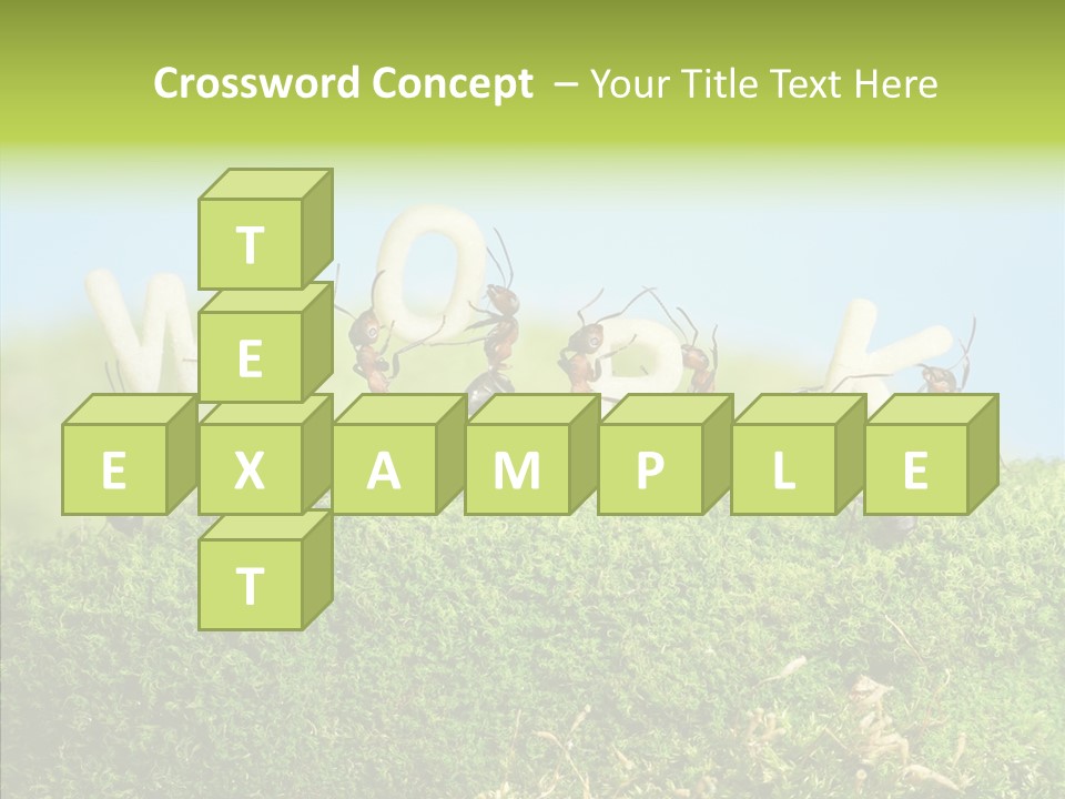 Teamwork Sky Animals PowerPoint Template