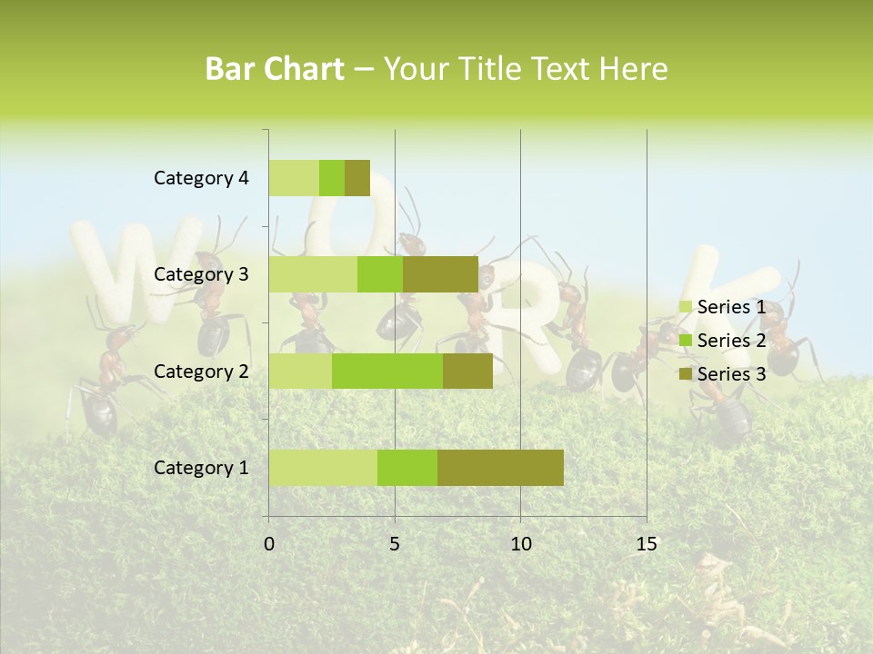 Teamwork Sky Animals PowerPoint Template