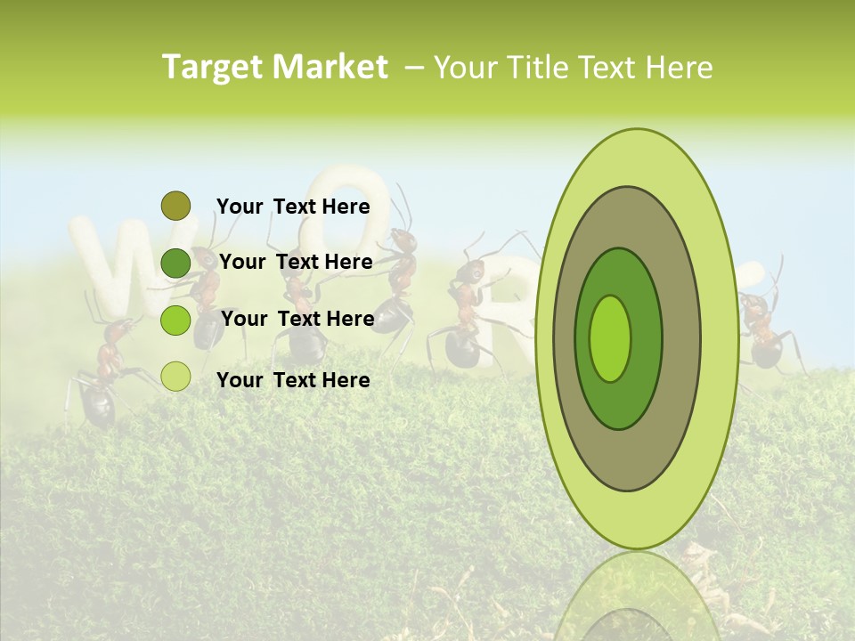 Teamwork Sky Animals PowerPoint Template