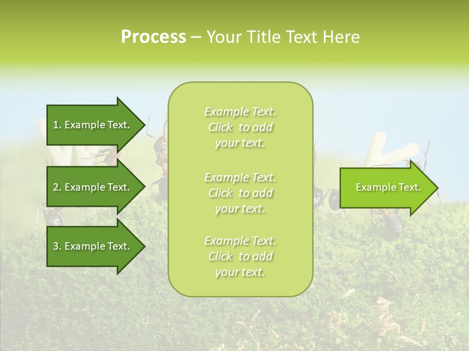 Teamwork Sky Animals PowerPoint Template