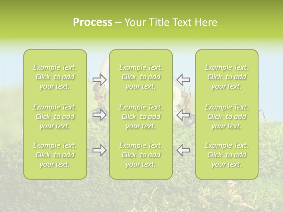 Teamwork Sky Animals PowerPoint Template