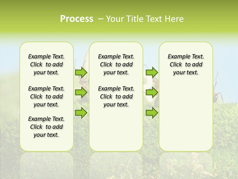 Teamwork Sky Animals PowerPoint Template