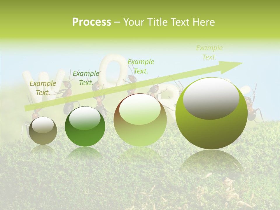 Teamwork Sky Animals PowerPoint Template