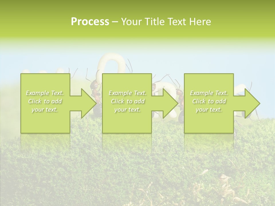 Teamwork Sky Animals PowerPoint Template