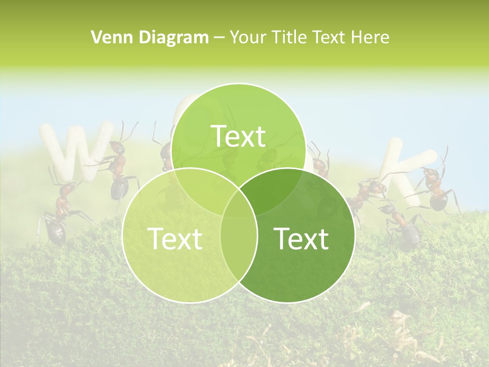 Teamwork Sky Animals PowerPoint Template