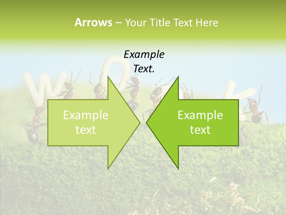 Teamwork Sky Animals PowerPoint Template