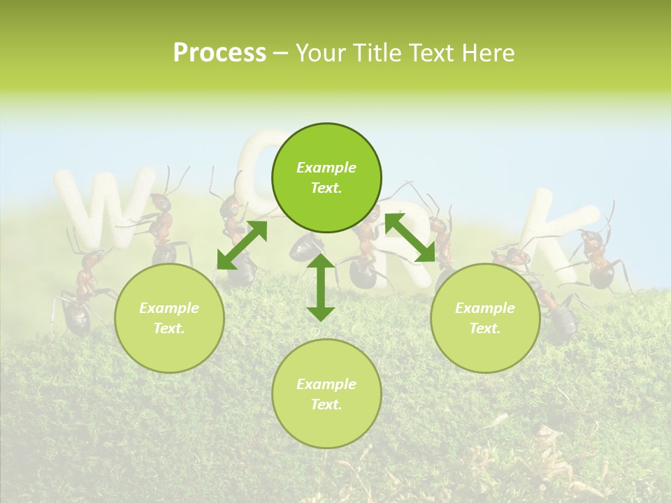 Teamwork Sky Animals PowerPoint Template