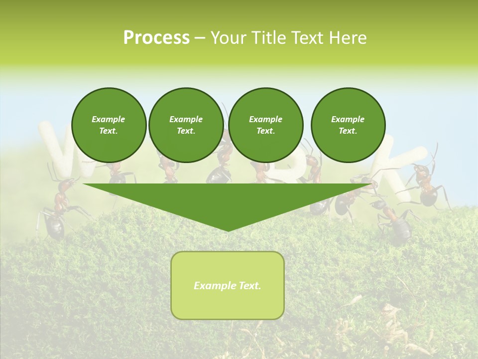 Teamwork Sky Animals PowerPoint Template