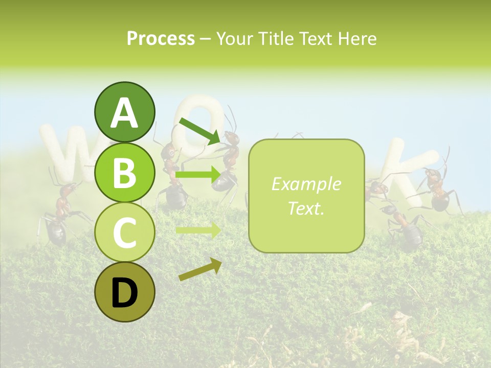 Teamwork Sky Animals PowerPoint Template