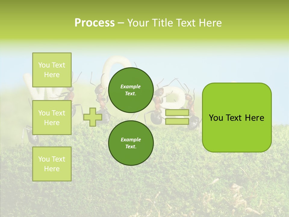 Teamwork Sky Animals PowerPoint Template