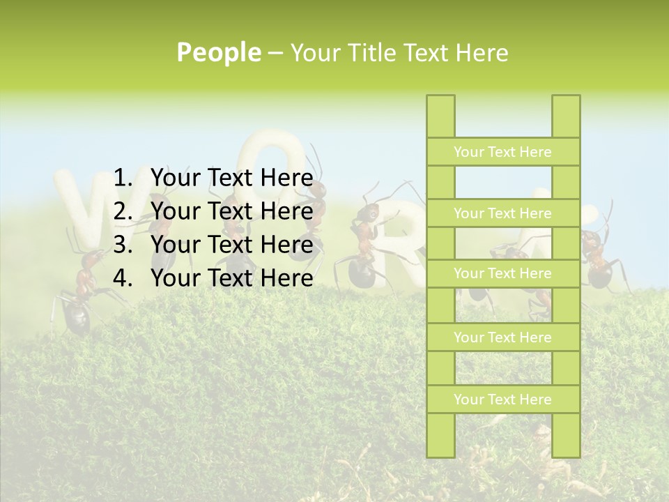 Teamwork Sky Animals PowerPoint Template