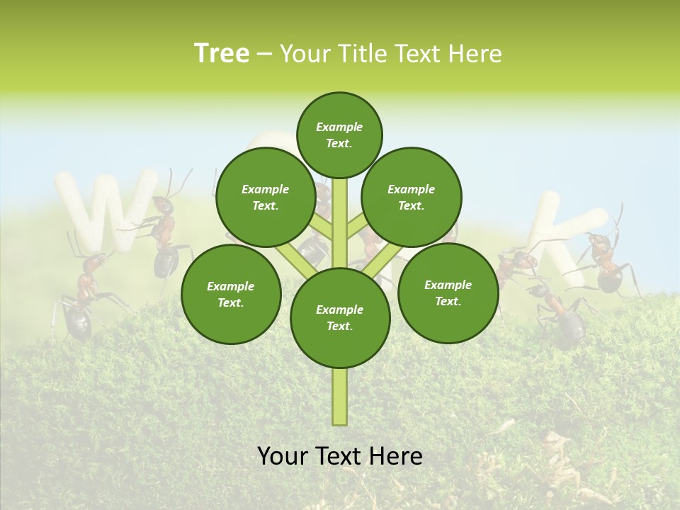 Teamwork Sky Animals PowerPoint Template