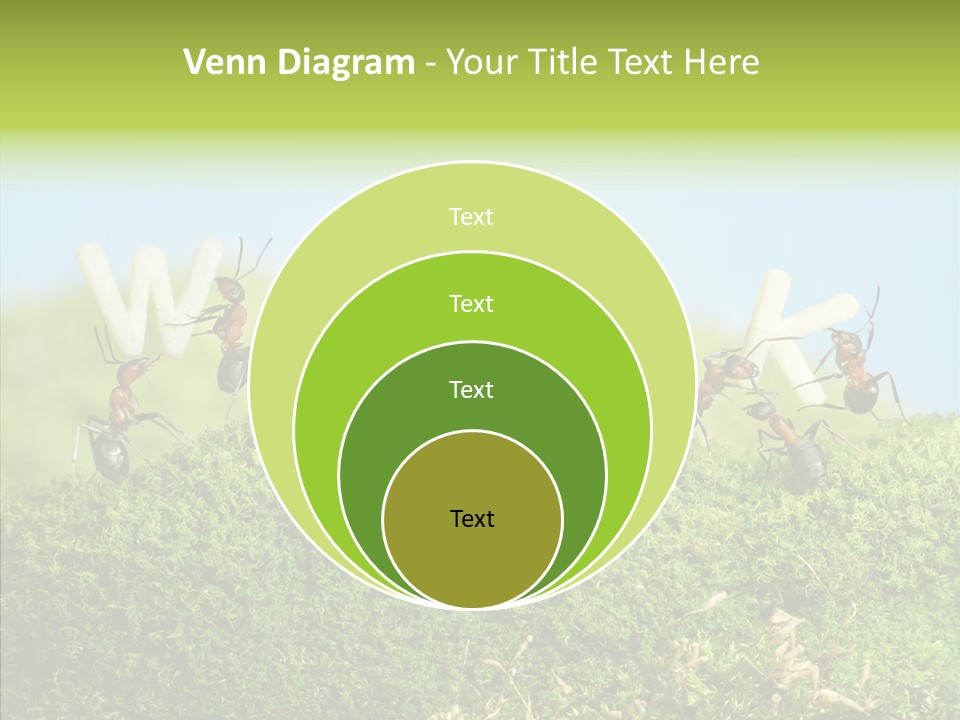 Teamwork Sky Animals PowerPoint Template