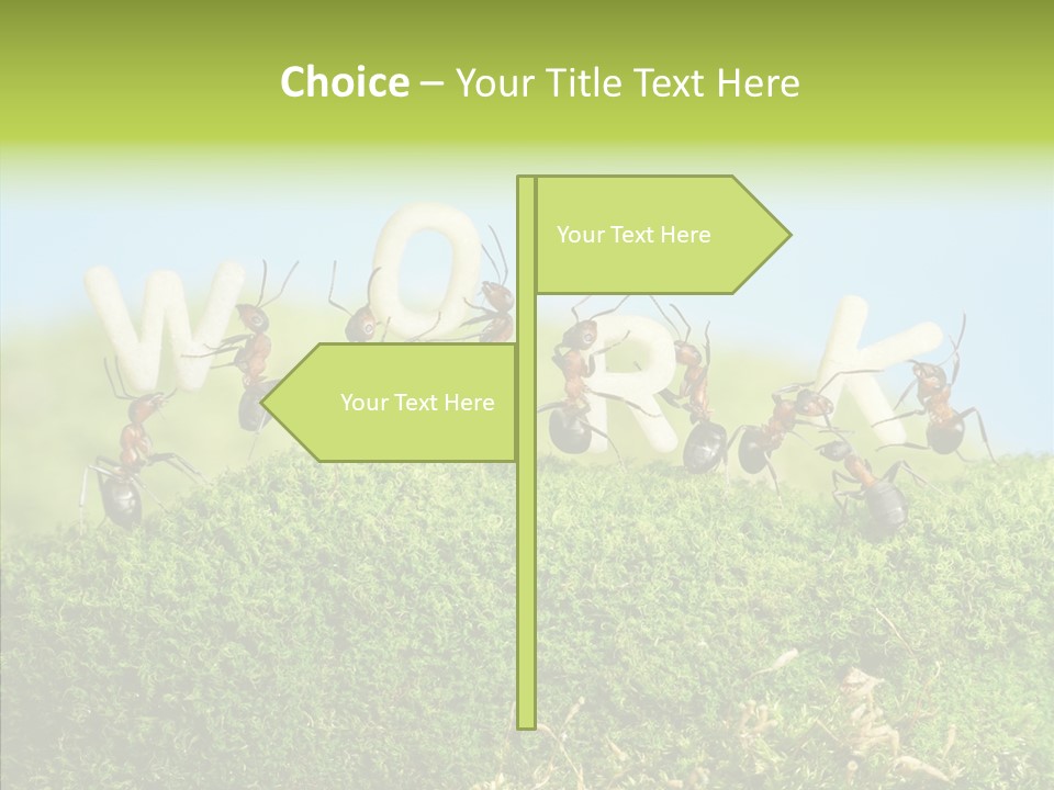 Teamwork Sky Animals PowerPoint Template