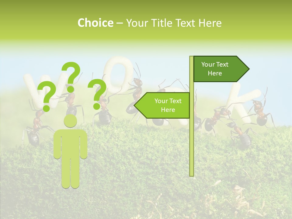 Teamwork Sky Animals PowerPoint Template