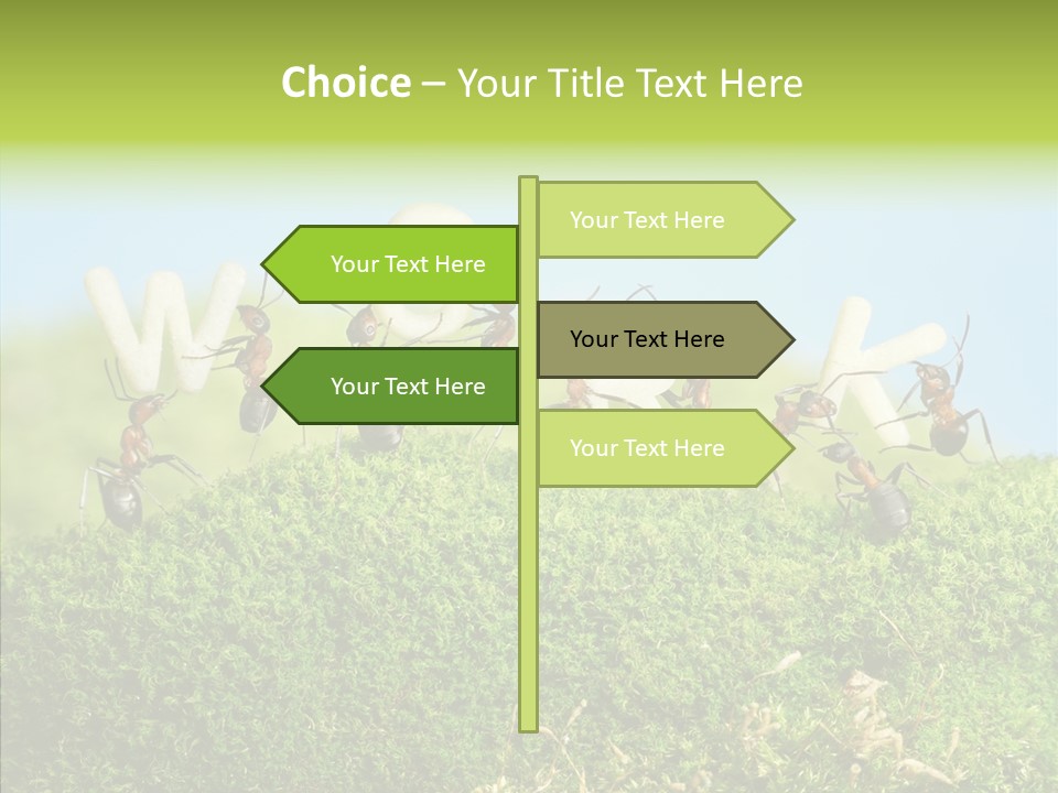 Teamwork Sky Animals PowerPoint Template