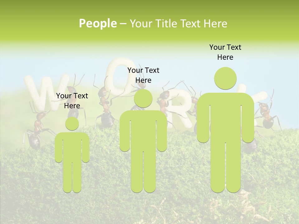 Teamwork Sky Animals PowerPoint Template