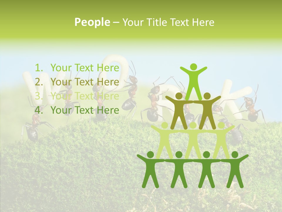 Teamwork Sky Animals PowerPoint Template