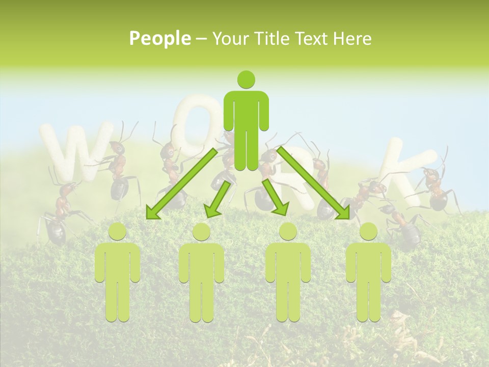 Teamwork Sky Animals PowerPoint Template