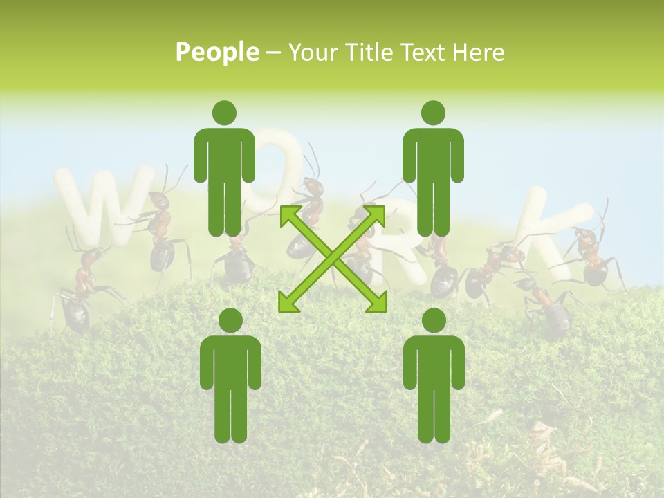 Teamwork Sky Animals PowerPoint Template