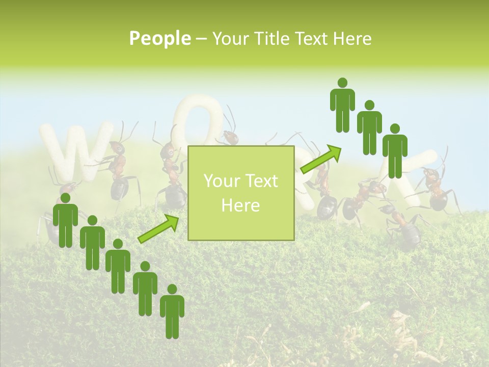 Teamwork Sky Animals PowerPoint Template