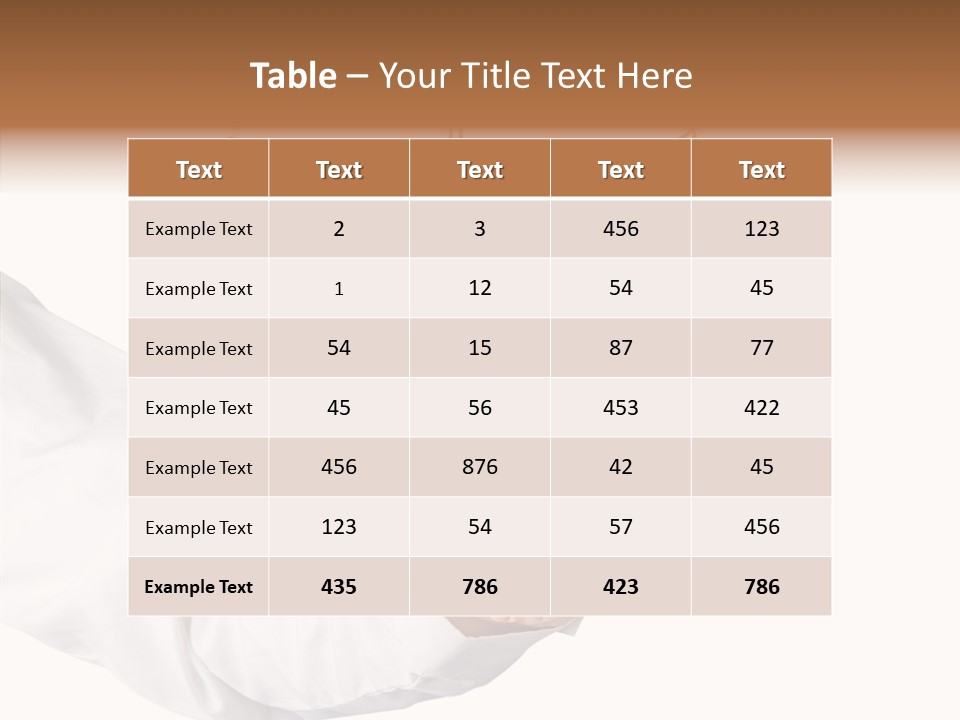 Model Risk Project PowerPoint Template